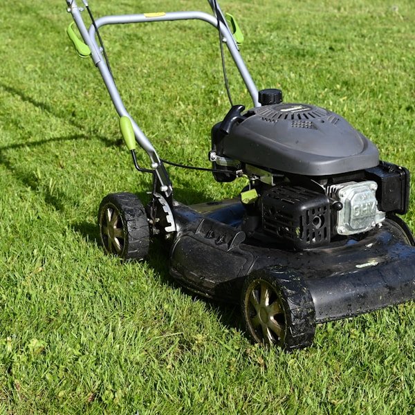 Commercial rotary lawn mower cutting green turf during scheduled property maintenance